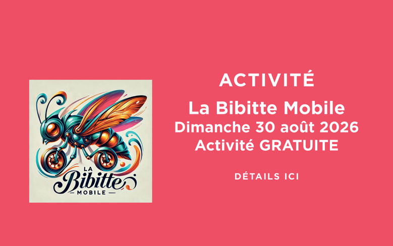 Galeries-de-la-Chaudiere_BTS-2026_activite_web